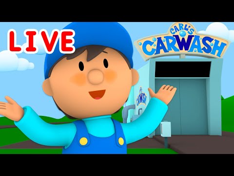 Carl's Car Wash